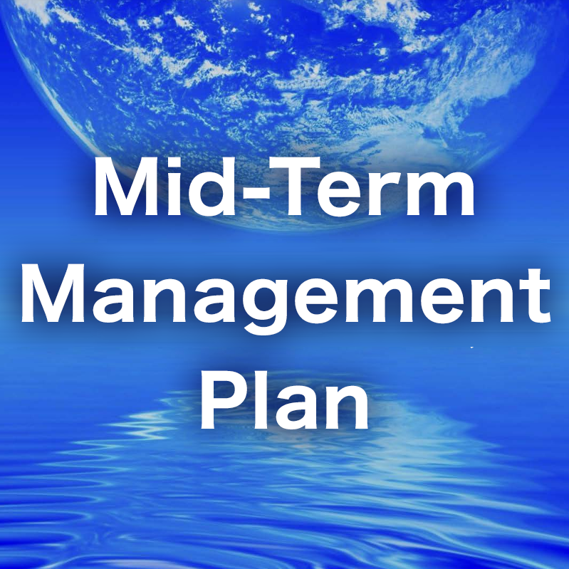 Mid-Term Management Plan