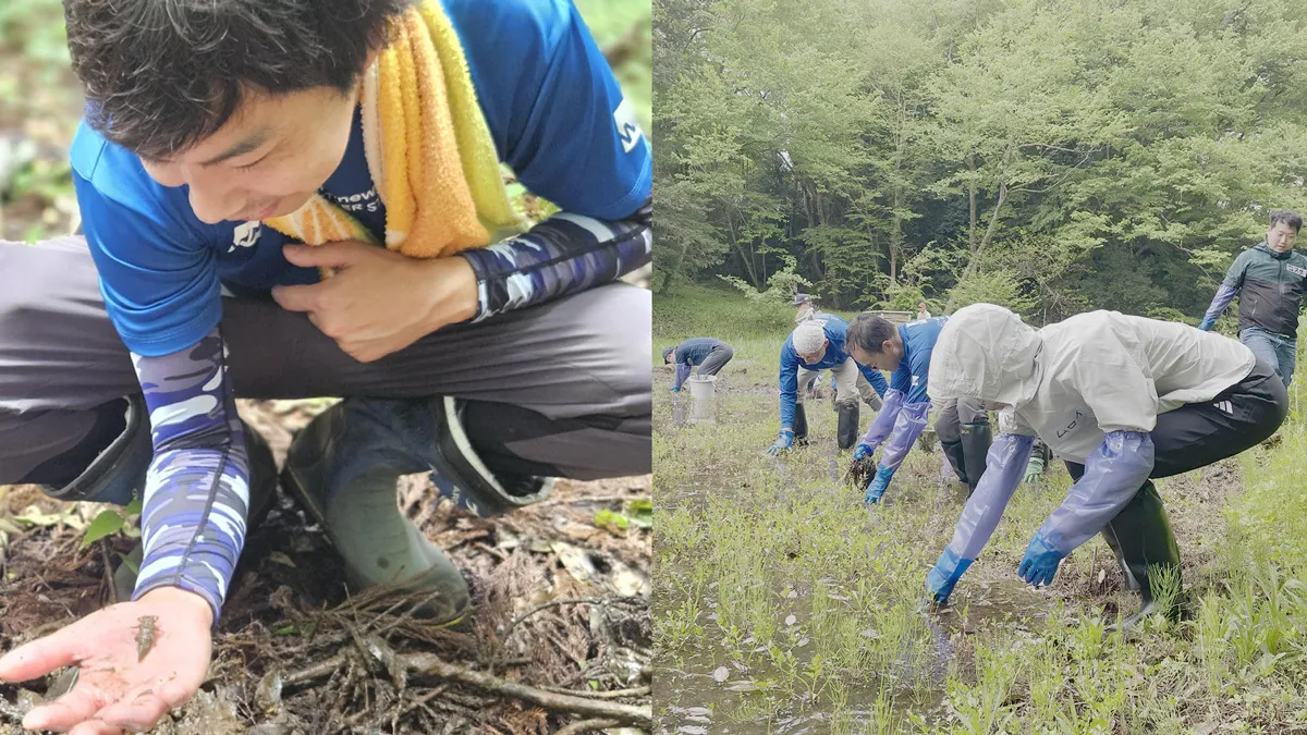 里山で水田環境の再生や生物多様性調査に挑戦する様子の写真