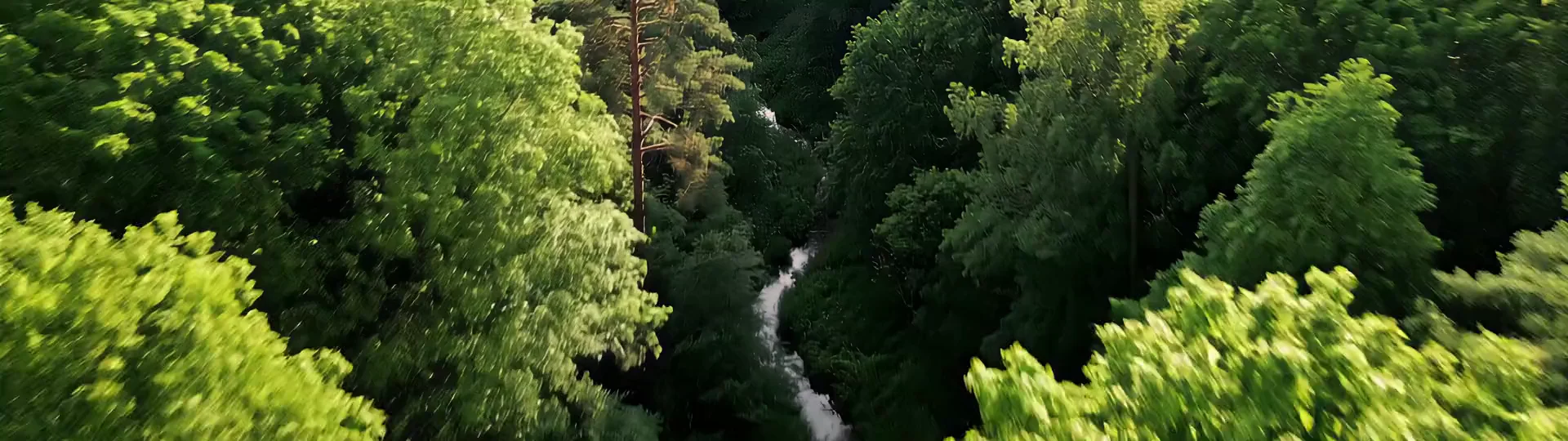 Communities Living in Harmony with Nature