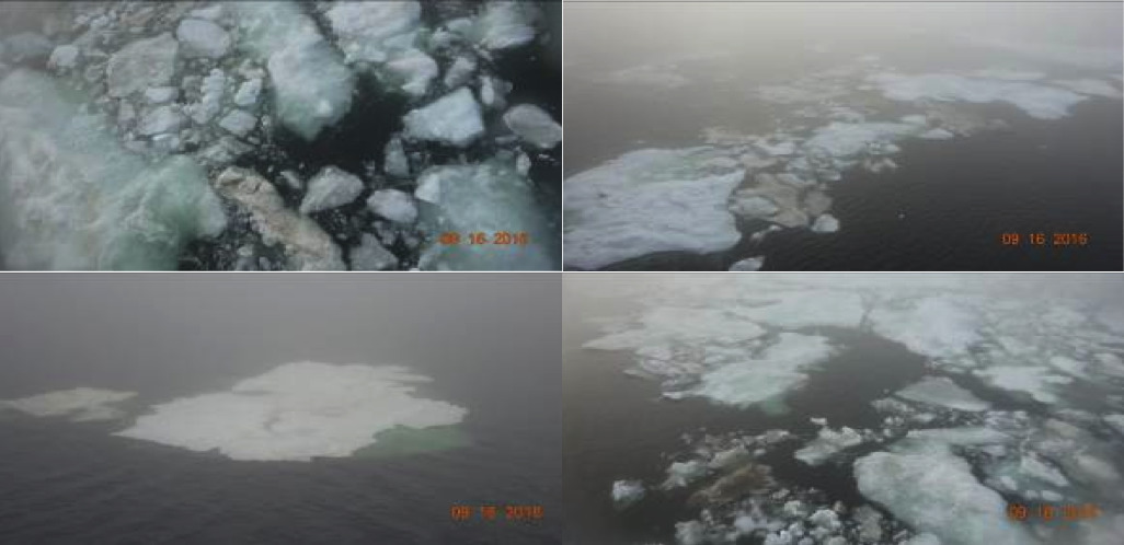 図 6.2016 年 9 月 16 日に北極海ラプテフ海を航行した弊社サポート船による海氷の写真