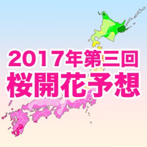 いよいよ来週末は東京や高知、福岡で桜が開花！