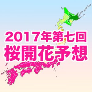 【第七回桜開花予想】北日本の桜開花時期は例年並、青森・弘前公園は22日に開花の見込み