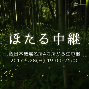 【ほたる中継】ウェザーニューズ、28日19時より厳選名所4カ所から同時生中継