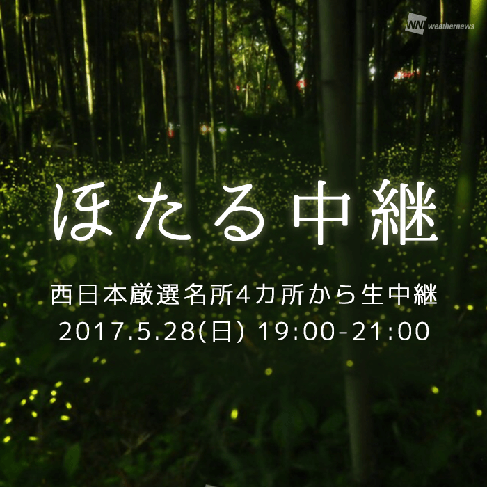 ほたる中継 ウェザーニューズ 28日19時より厳選名所4カ所から同時生中継 Weathernews Inc