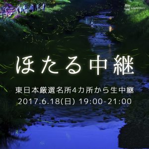 【ほたる中継】18日19時より、東日本の厳選名所4カ所から同時生中継