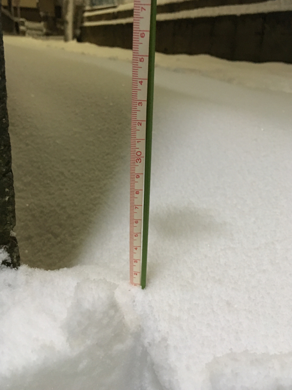 1月22日 南岸低気圧に伴う関東地方の大雪のまとめ Weathernews Inc