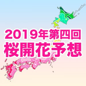【第四回桜開花予想】福岡が桜開花トップ！全国的に例年並も、暖冬により一部名所で遅れ
