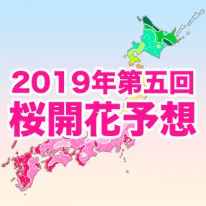 【第五回桜開花予想】来週は関東や九州北部などで桜開花！全国的に例年並の開花に