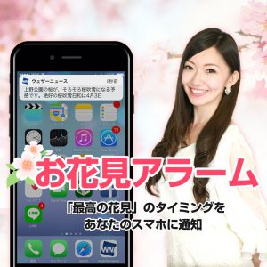 【さくらCh.】開花・満開・桜吹雪情報が届く『お花見アラーム』、アプリで提供開始