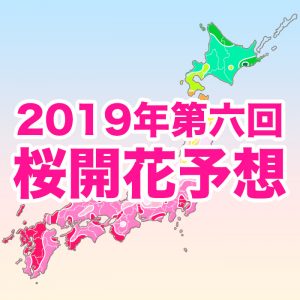 【第六回桜開花予想】いよいよ関東や九州北部などで桜開花！全国的に例年並の開花に
