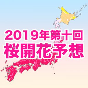 【第十回桜開花予想】開花前線は来週、北海道へ上陸！五稜郭公園は5月1日満開へ