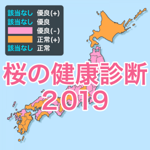 【桜の健康診断2019】桜の健康状態は過去最悪に、猛暑や台風が影響か