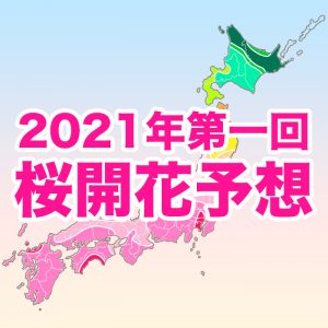 【第一回桜開花予想】桜開花トップは東京で3/18！全国的に平年より早い開花予想