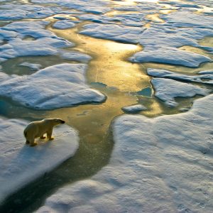 企業向け気候変動リスク分析サービス「Climate Impact」を提供開始