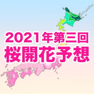 【第三回桜開花予想】3/19に東京から桜開花スタート、休眠打破の遅れはなく順調に生長する見込み