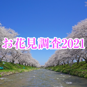 【お花見調査2021】今年のお花見は約6割が“近場の桜”で　若い世代ほど“一人花見”派