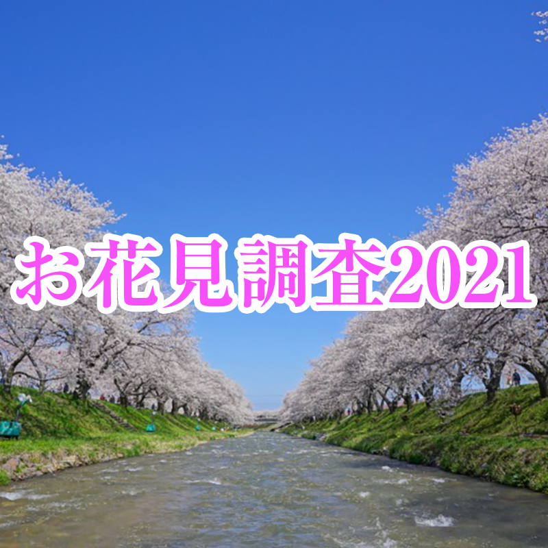 お花見調査2021】今年のお花見は約6割が“近場の桜”で 若い世代ほど
