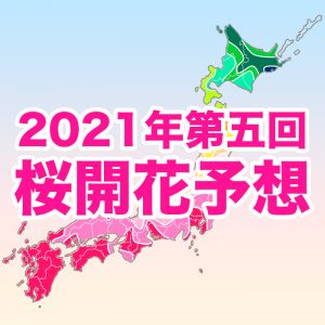 【第五回桜開花予想】開花トップは福岡で3月12日、東京は15日に開花！全国的に早い傾向