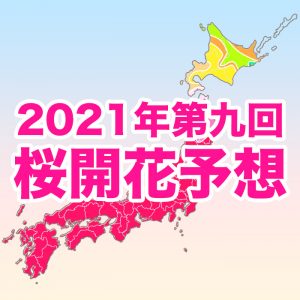 【第九回桜開花予想】桜前線は東北北部を北上中！4月中旬に北海道へ