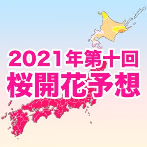 【第十回桜開花予想】桜前線は来週、北海道へ！札幌は21日開花予想