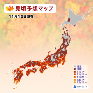 【第三回紅葉見頃予想】東・西日本の平野部もまもなく見頃へ！平年並〜やや遅い傾向