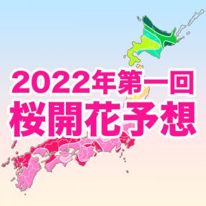 桜開花トップは東京・広島で3/15！全国的に平年より早い開花予想