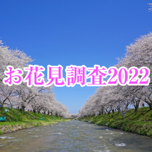 6割以上が“近場の桜”でお花見、最も気になるのは「混雑・感染対策」
