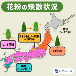 西日本は来週にも、東日本や東北も4月下旬には花粉ピーク越え