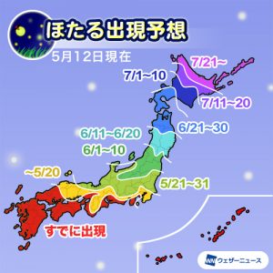 ほたるの出現は例年並〜早い予想！関東南部では5月下旬に出現ピーク
