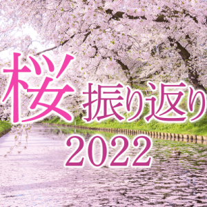 【桜の振り返り調査】今年はお花見当たり年！長い見頃と制限緩和でお花見回数が増加か