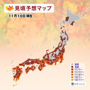 【第三回紅葉見頃予想】東日本・西日本の平野部もまもなく見頃へ！平年並〜やや早い傾向