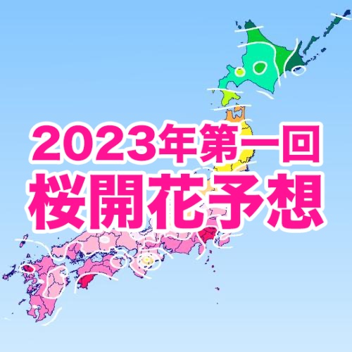 桜開花トップは東京で3/20！広範囲で平年並かやや早い開花予想