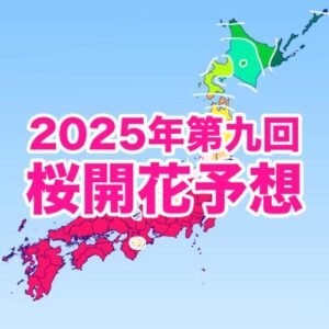 桜が彩る春本番！西・東日本は見頃を迎え、満開ラッシュの1週間に