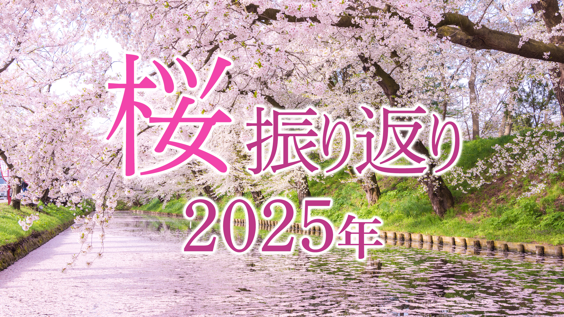 金額、後日編集 桜神様 25日頃 桜神様 25日頃